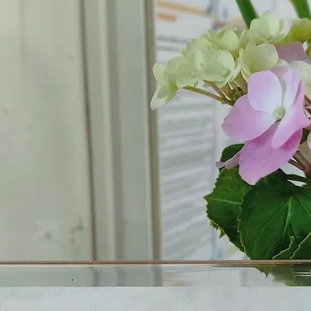 Hi - De Juventude * Ovar