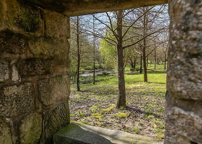 Hi - De Juventude Ovar